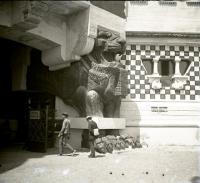 Esposizione. Mostro all'ingresso laterale (taglio)